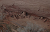 The Antelope House Ruin on the north rim.<br><i>From the National Park Service:<br>
In the canyons are ruins of several hundred prehistoric Indian villages, most of them built between A.D. 350 and 1300. The earliest known Indian occupants constructed individual, circular pithouses, so called because the lower parts of the dwellings were pits dug into the ground. The style of their houses gradually changed through the years until finally they were no longer living in pithouses but were building rectangular houses of stone masonry above the ground which were connected together in compact villages. These changes basically altered life; and, because of the new 'apartment house' style of their homes, the canyon dwellers after 700 are called Pueblos. Pueblo is the Spanish word for village, and it refers to the compact village life of these later people. Most of the large cliff houses in these canyons were built between 1100 and 1300, in the Pueblo period.</i>