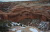 The most impressive ruin is the Mummy Cave Ruin, in which Indian mummies were found (I don't know what happened to the daddies).<br>
<i>From the National Park Service:<br>
Today, many Navajos still farm in a limited way, but sheep herding, which they acquired from the Spaniards in the 1700's, is declining among them. Their distinctive circular houses of logs and poles are called hogans.