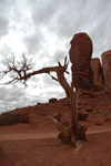 You can almost feel the rumble of wagon train wheels and hear the shrieks of Indians when looking at some of the landscapes