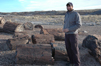 Matt stands among a fallen forest of petrified trees and wonders aloud how wood can turn into rock.<br>'Distant volcanoes to the west spewed tons of ash into the atmosphere, carried by the wind into this area where it was incorporated into the river sediments. Some logs were buried by sediment before they could decompose. Ground water dissolved silica from the volcanic ash and carried it into the logs. This solution formed quartz crystals which filled hollows, cracks, even the interior of the cells, and sometimes replaced the cell walls. The process could be so exact the resulting fossils show many details of the logs original surfaces and, occasionally, the internal cell structures. Traces of iron and other minerals combined with quartz during the petrification process, creating the brilliant rainbow of colors. Within the larger cracks and hollows the growth of quartz crystals was not limited in size and larger crystals of clear and milky quartz, purple amethyst, and yellow citrine formed.'<br>
So now we know!