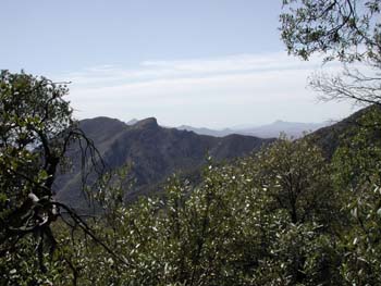 A view while hiking the mountains around Sierra Vista