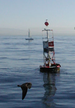 Buoy at mouth of San Diego harbor